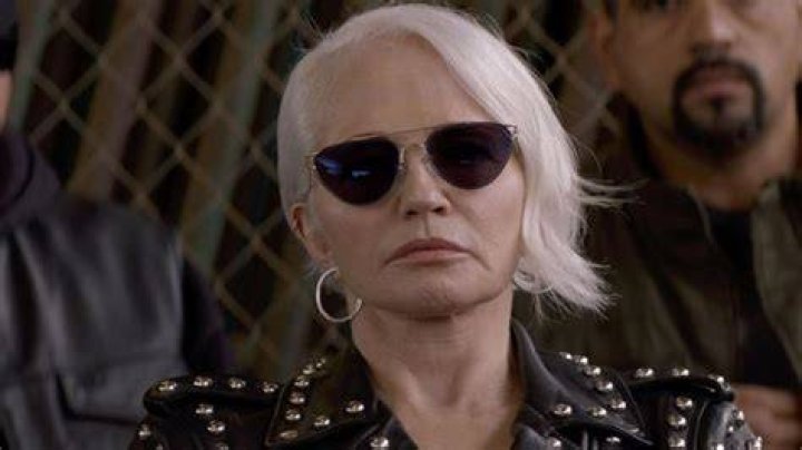 Why did Ellen Barkin leaving animal kingdom?