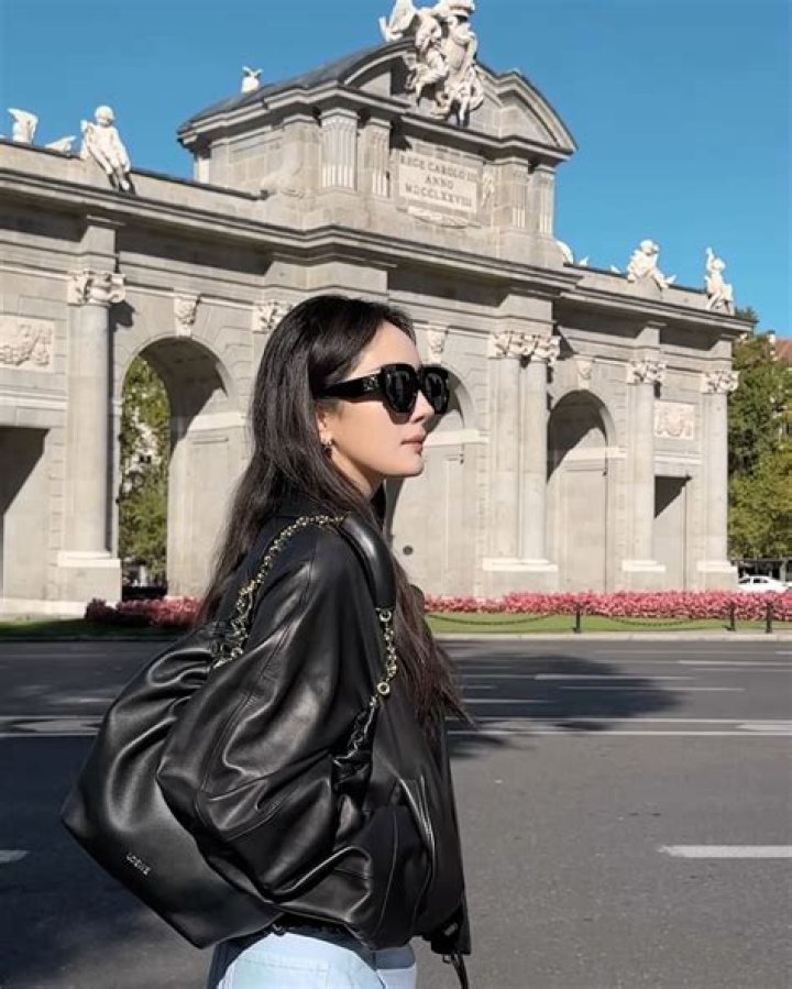 Yang Mi Bio (Wiki) 